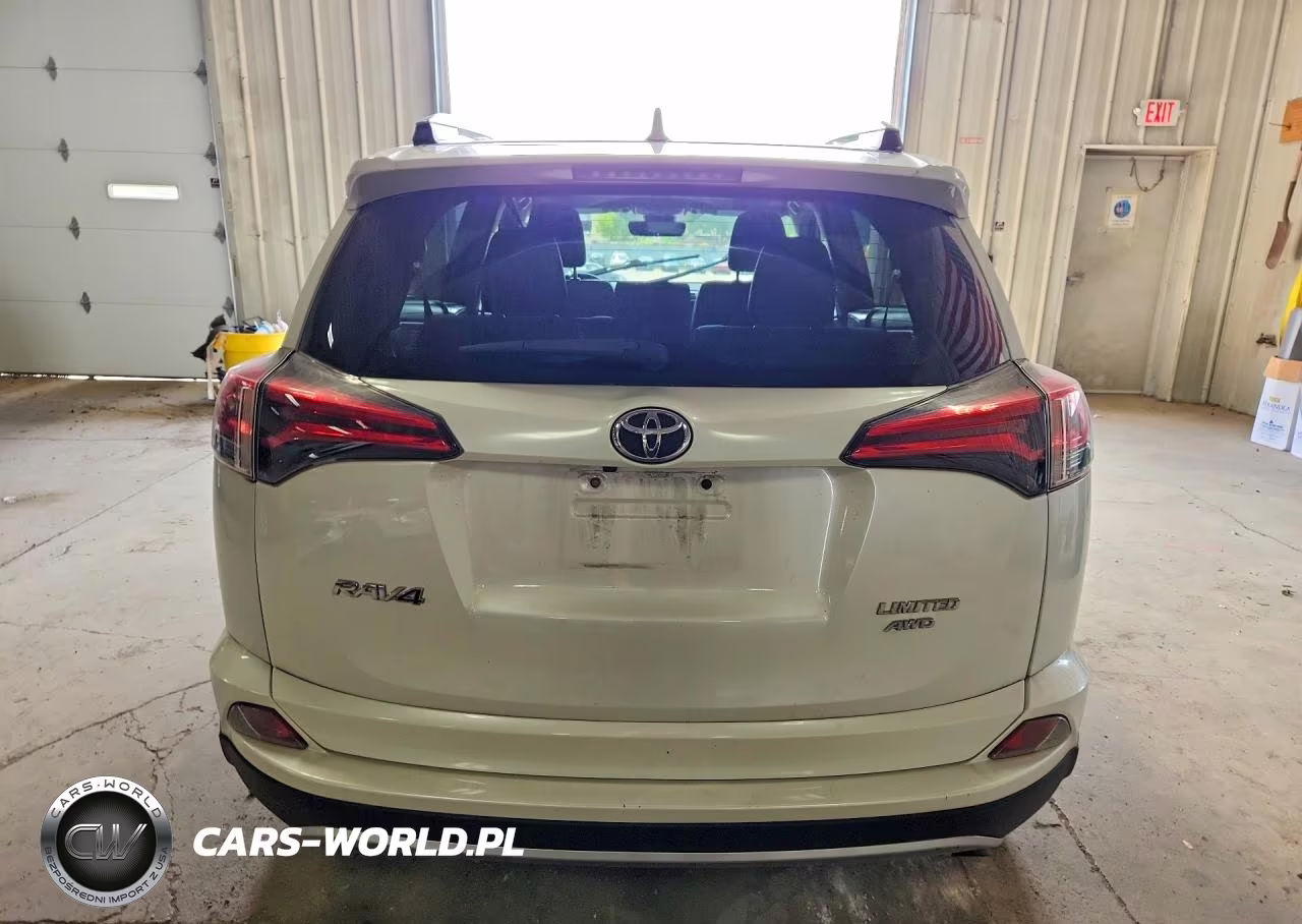 2018 Toyota Rav4 Limited VIN:JTMDFREV1JJ231901 - 6