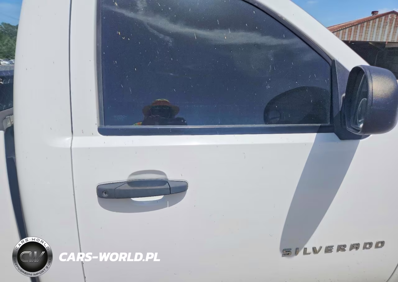2013 Chevrolet Silverado C1500 VIN:1GCNCPEX8DZ151066 - 10
