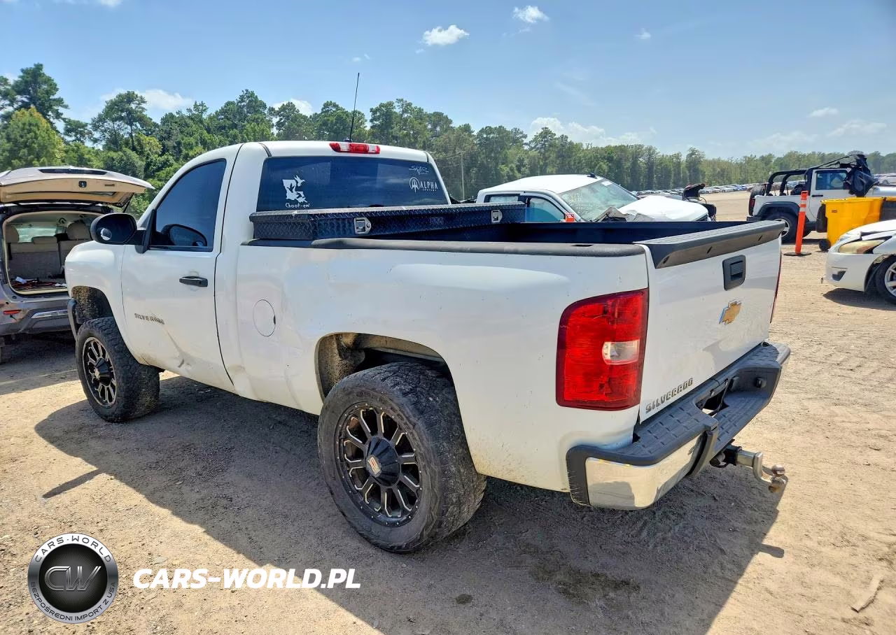 2013 Chevrolet Silverado C1500 VIN:1GCNCPEX8DZ151066 - 2