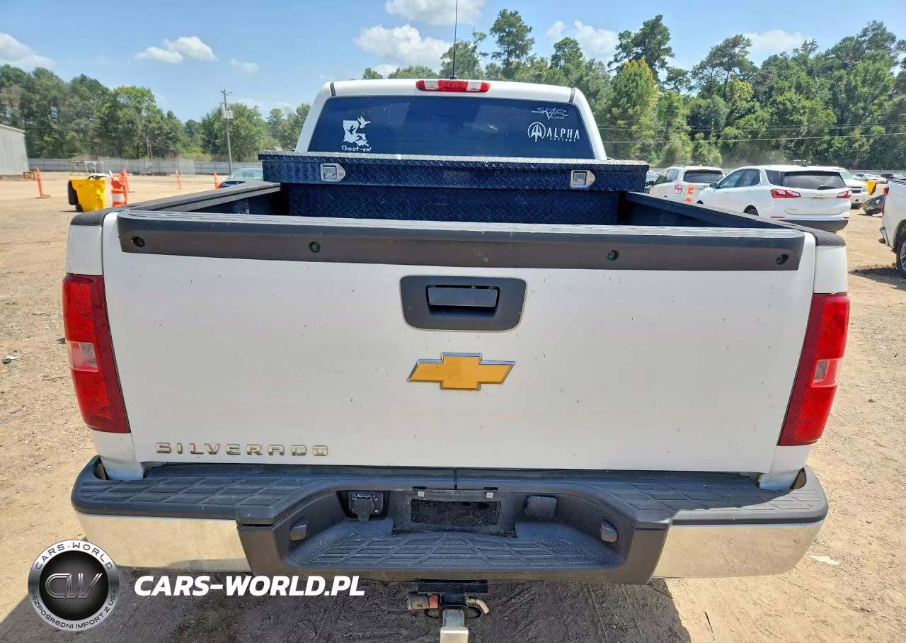 2013 Chevrolet Silverado C1500 VIN:1GCNCPEX8DZ151066 - 6