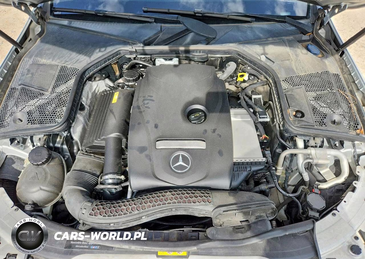 2017 Mercedes-Benz C 300 4Matic VIN:55SWF4KB5HU209793 - 11