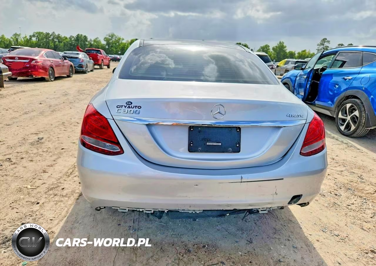 2017 Mercedes-Benz C 300 4Matic VIN:55SWF4KB5HU209793 - 6