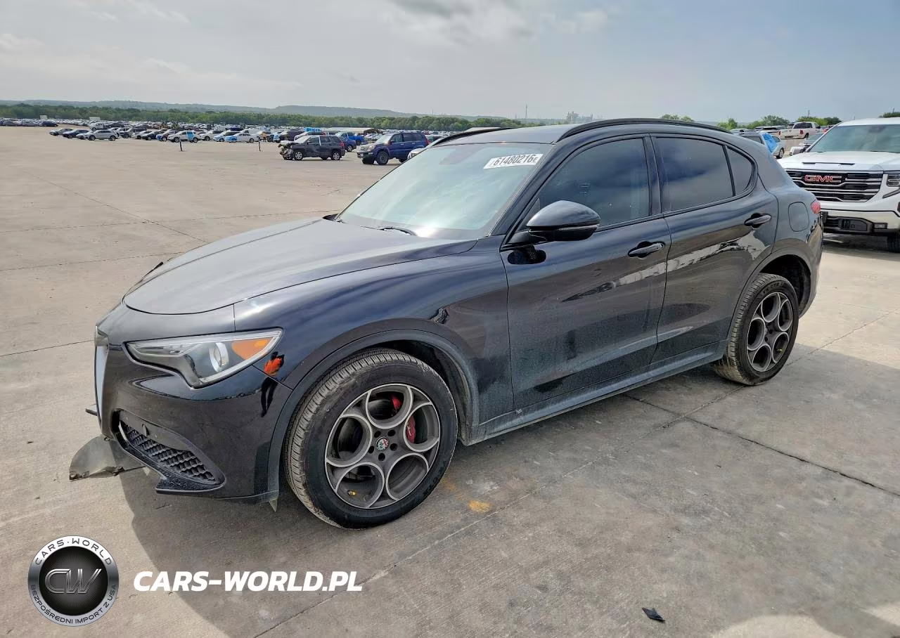 2019 Alfa Romeo Stelvio VIN:ZASPAKAN6K7C37966 - 1