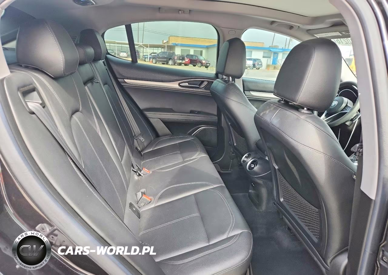 2019 Alfa Romeo Stelvio VIN:ZASPAKAN6K7C37966 - 10