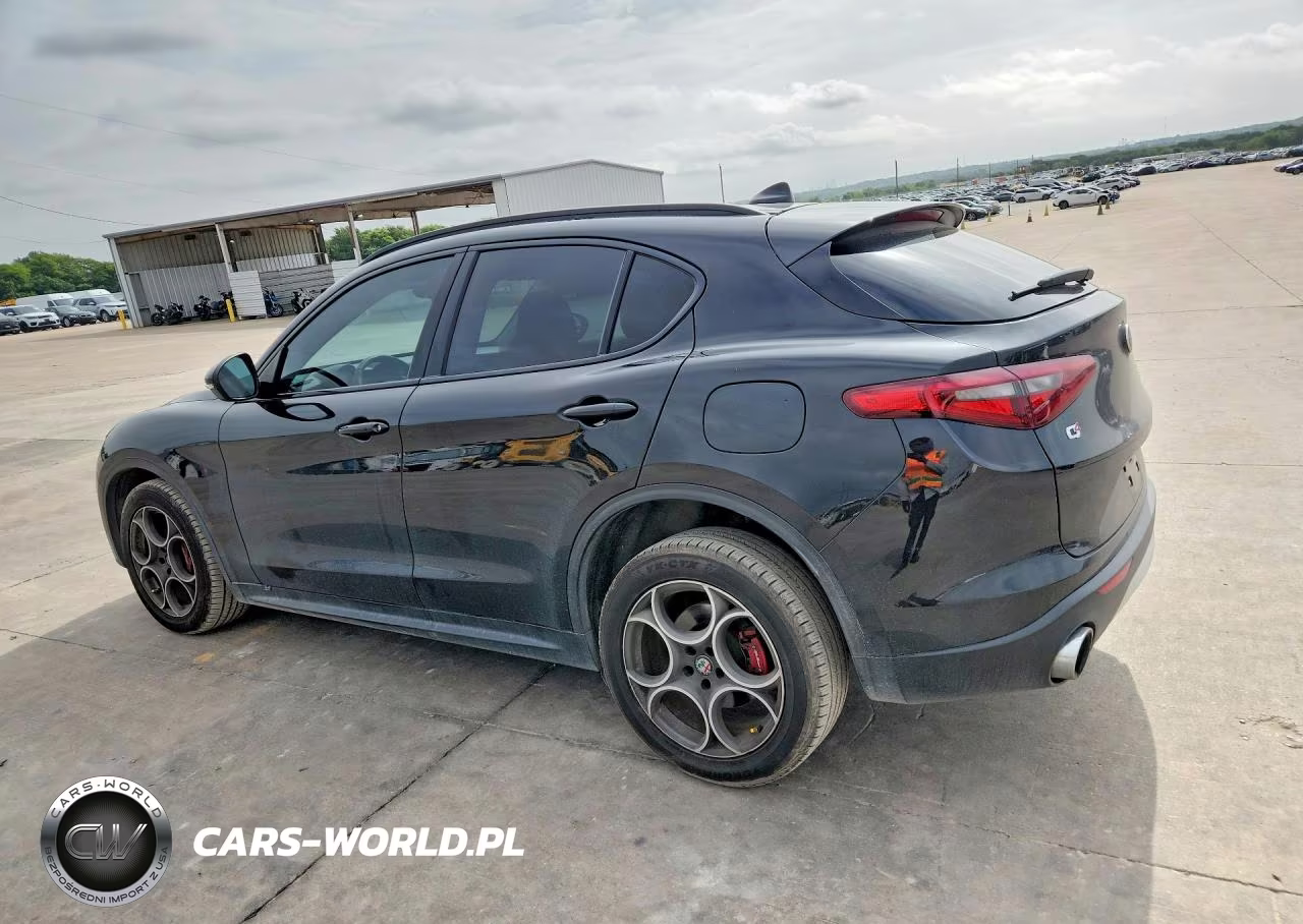 2019 Alfa Romeo Stelvio VIN:ZASPAKAN6K7C37966 - 2