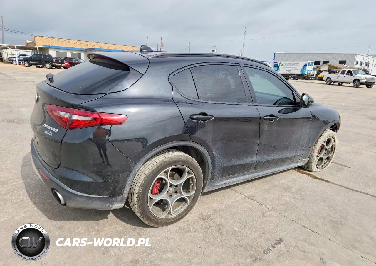 2019 Alfa Romeo Stelvio VIN:ZASPAKAN6K7C37966 - 3