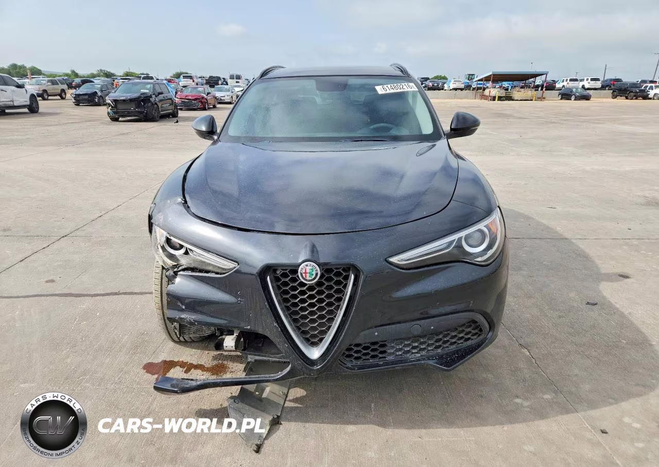 2019 Alfa Romeo Stelvio VIN:ZASPAKAN6K7C37966 - 5