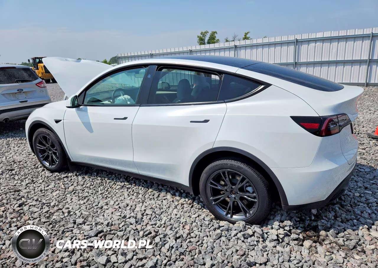 2024 Tesla Model Y VIN:7SAYGDEE6RA296103 - 2
