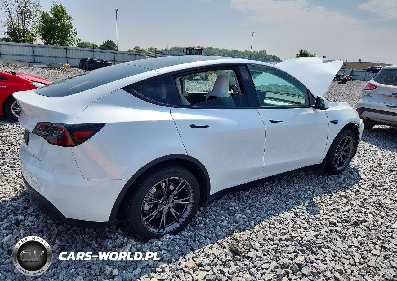 2024 Tesla Model Y VIN:7SAYGDEE6RA296103 - 3
