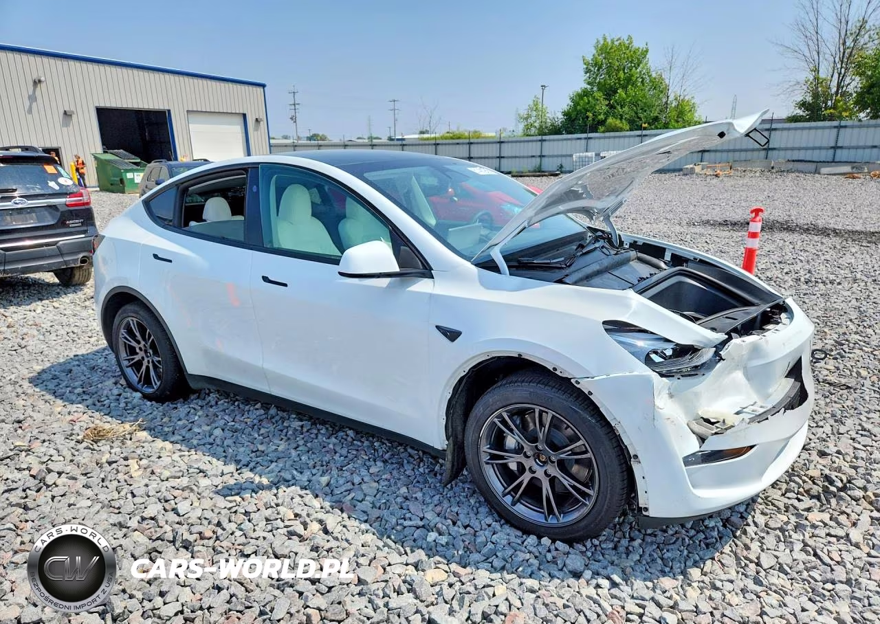 2024 Tesla Model Y VIN:7SAYGDEE6RA296103 - 4