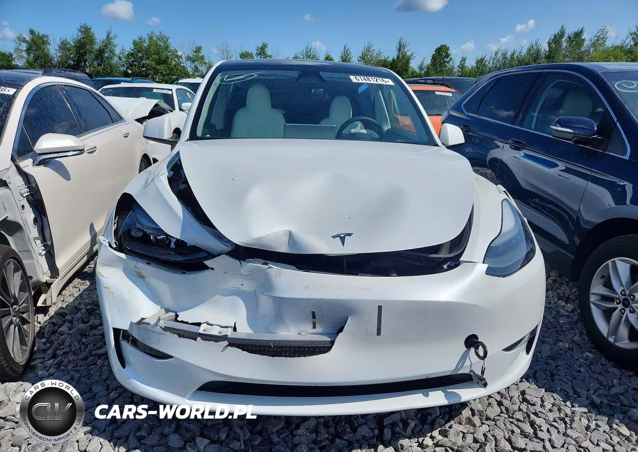 2024 Tesla Model Y VIN:7SAYGDEE6RA296103 - 5