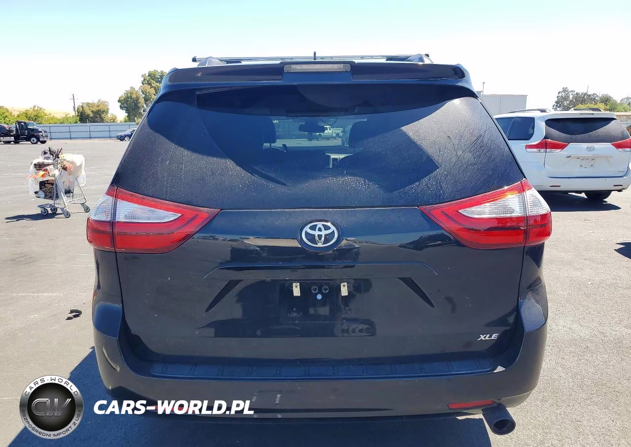 2019 Toyota Sienna Xle 8-Passenger VIN:5TDYZ3DC8KS012203 - 6