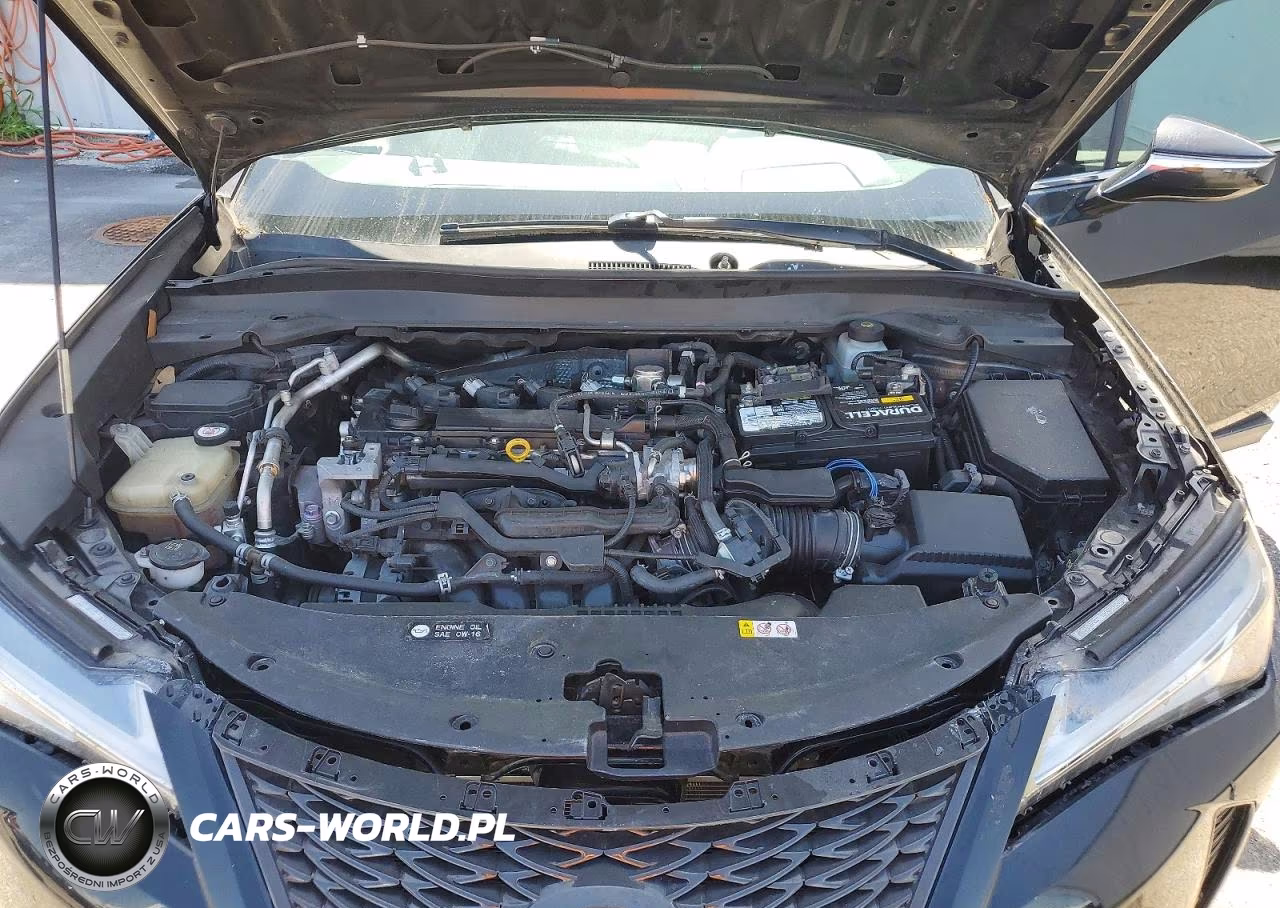 2019 Lexus Ux 200 VIN:JTHY3JBHXK2009488 - 12