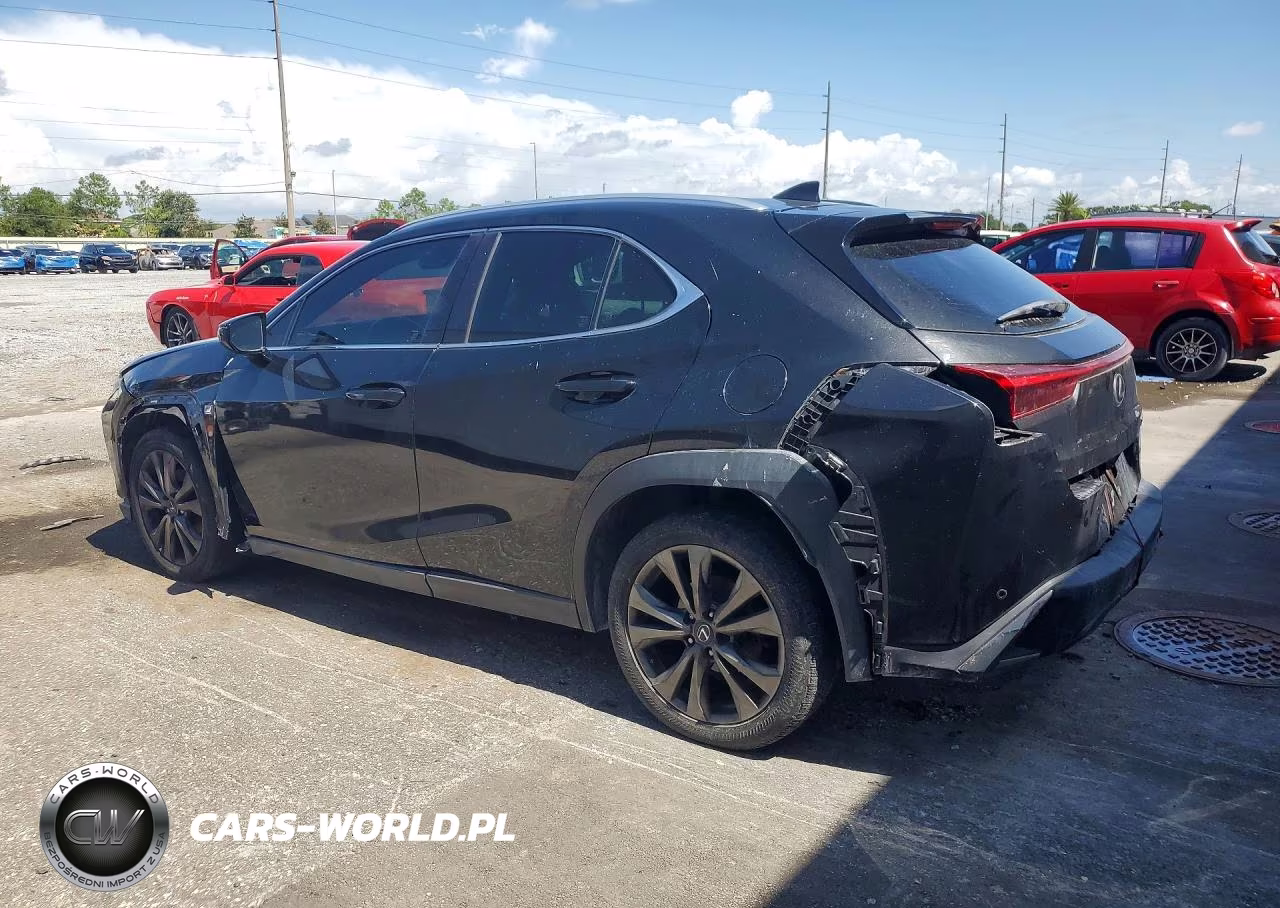 2019 Lexus Ux 200 VIN:JTHY3JBHXK2009488 - 2