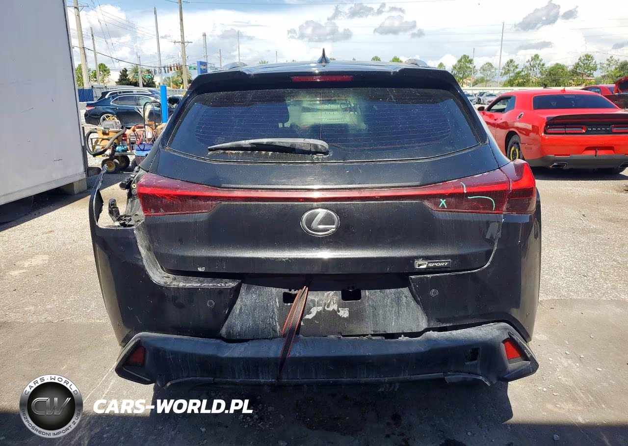 2019 Lexus Ux 200 VIN:JTHY3JBHXK2009488 - 6
