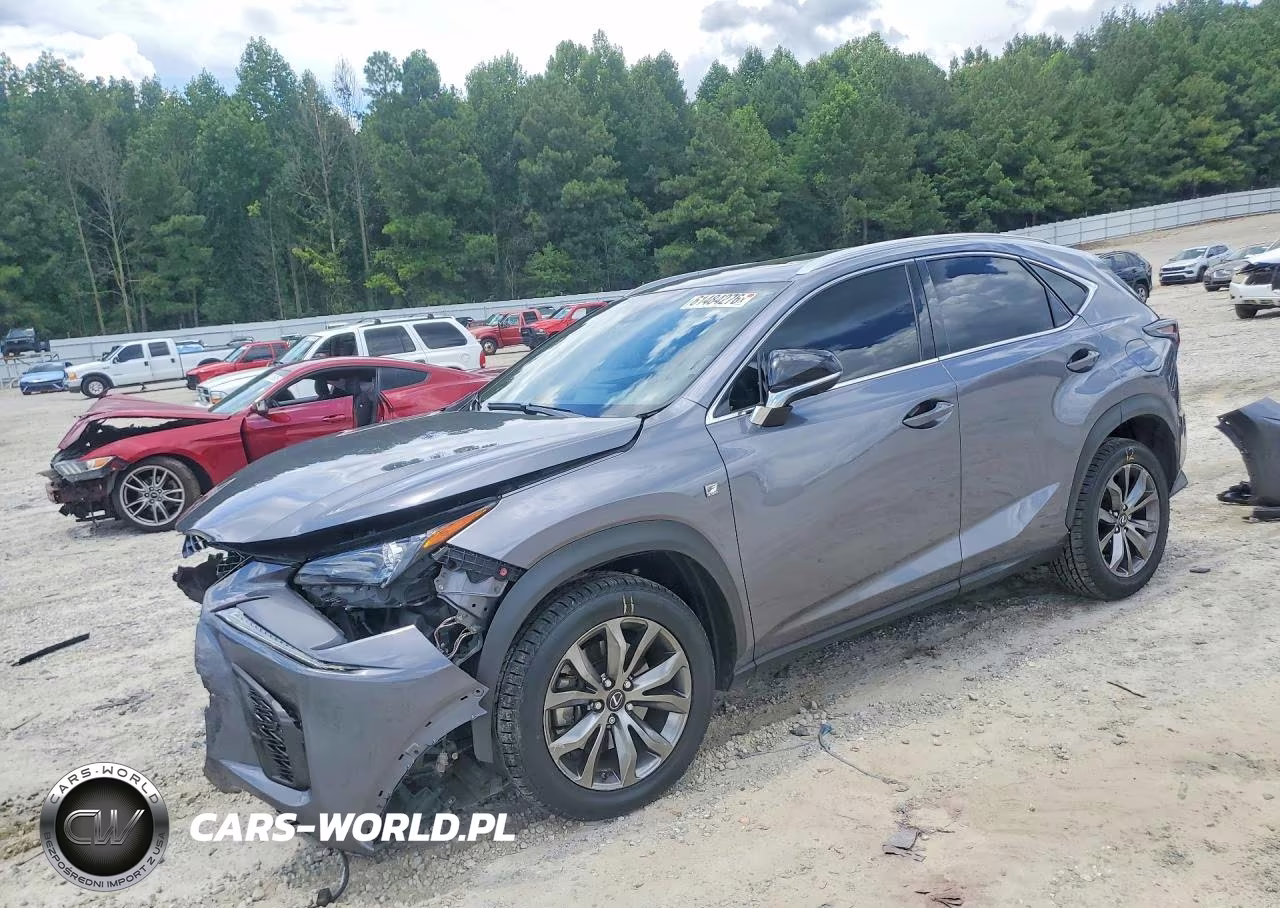 2021 Lexus Nx 300 F Sport