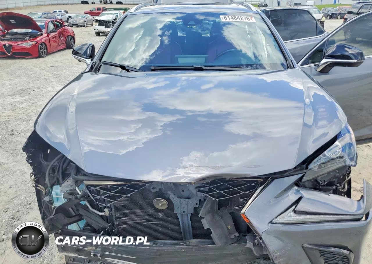 2021 Lexus Nx 300 F Sport VIN:JTJSARBZ5M2179665 - 11