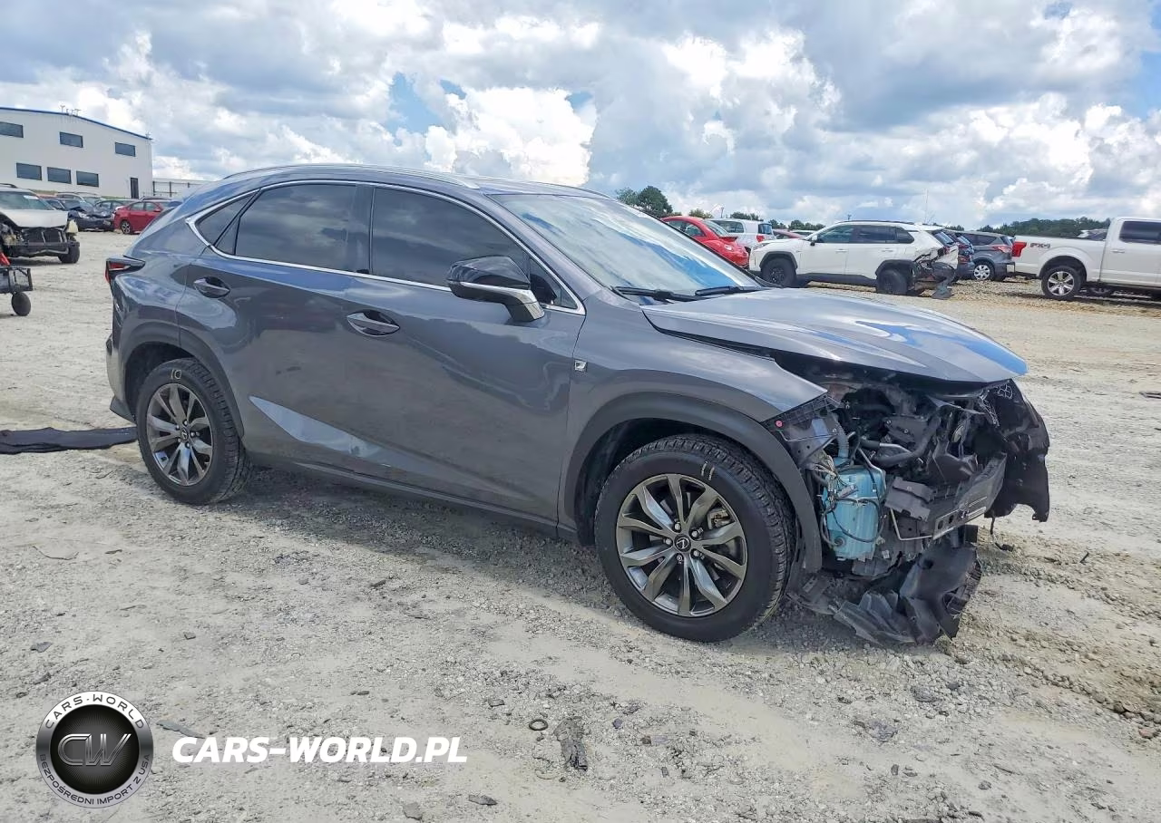 2021 Lexus Nx 300 F Sport VIN:JTJSARBZ5M2179665 - 4