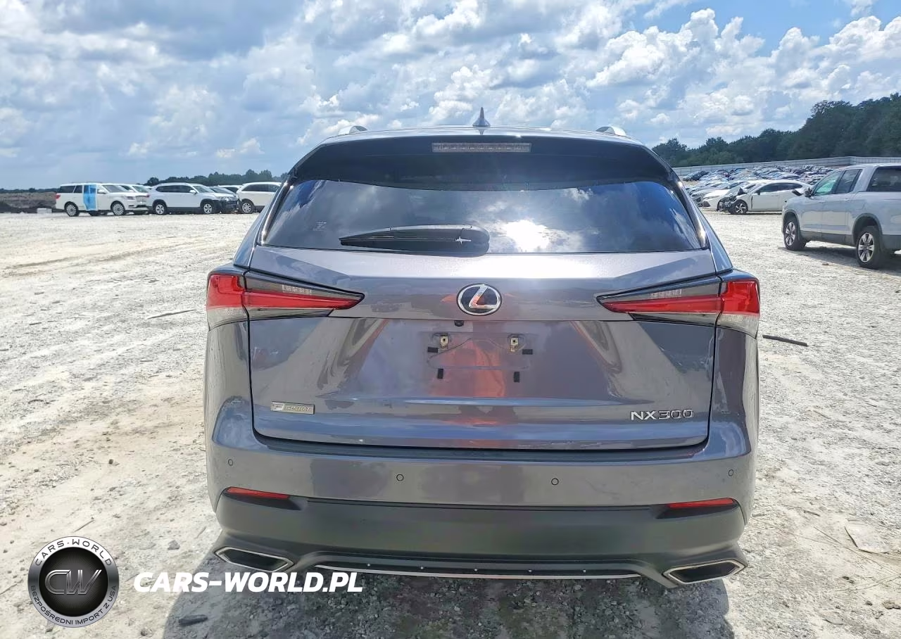 2021 Lexus Nx 300 F Sport VIN:JTJSARBZ5M2179665 - 6