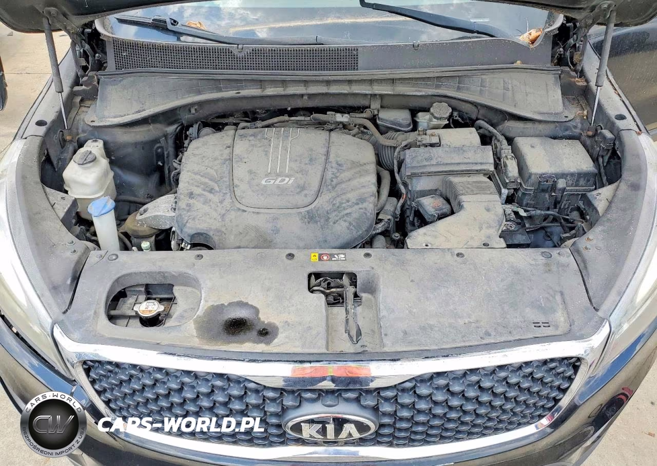 2016 Kia Sorento Lx V6 VIN:5XYPG4A52GG113822 - 12