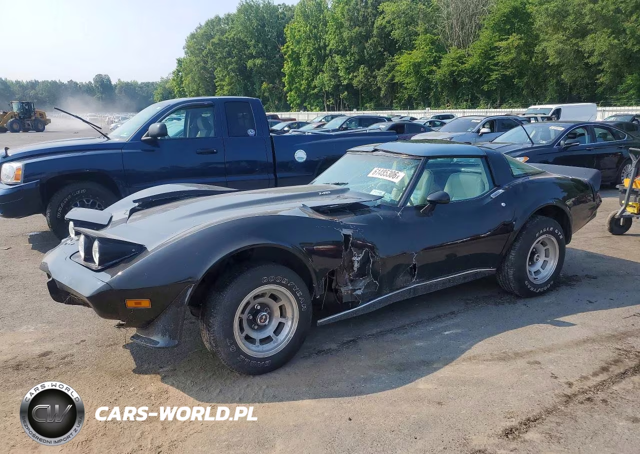 1979 Chevrolet Corvette – zdjęcie 1 z 12