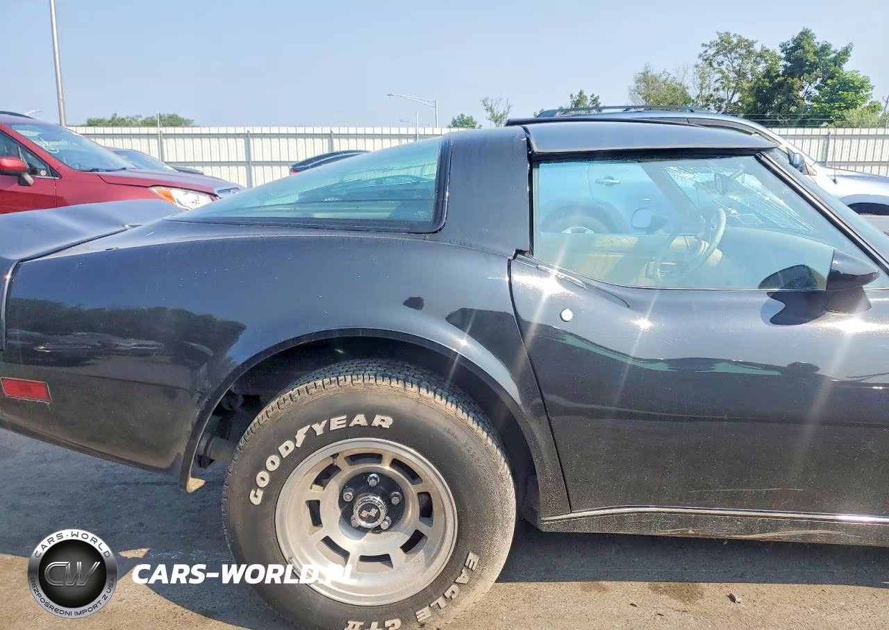 1979 Chevrolet Corvette VIN:1Z8749S438784 - 10
