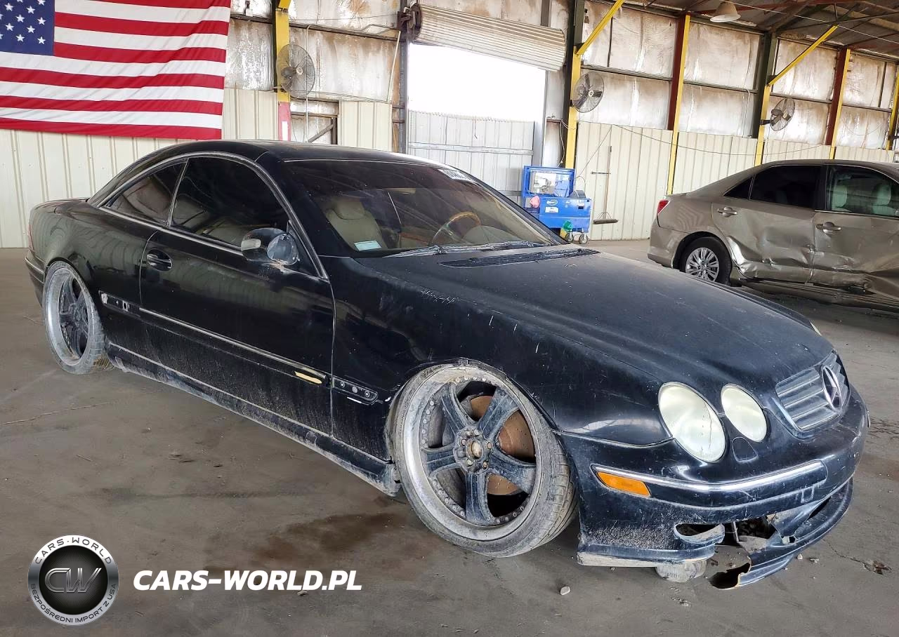 2002 Mercedes-Benz Cl 500 VIN:WDBPJ75J62A022747 - 4