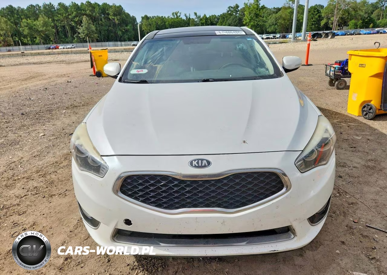 2015 Kia Cadenza Premium VIN:KNALN4D73F5185473 - 5