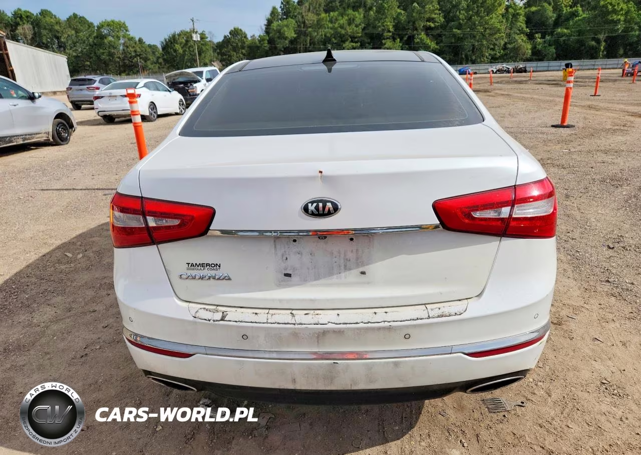 2015 Kia Cadenza Premium VIN:KNALN4D73F5185473 - 6