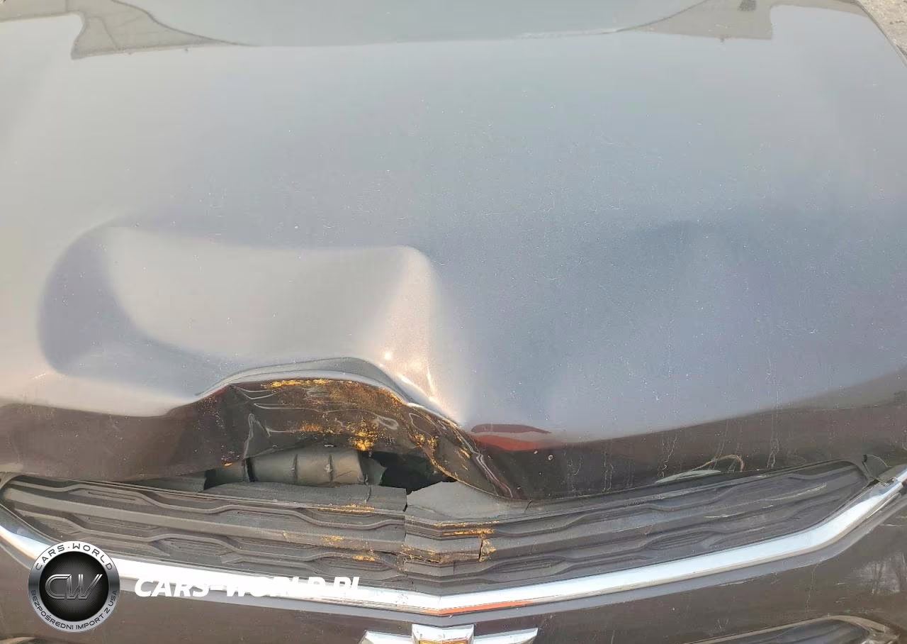 2016 Chevrolet Equinox Ls VIN:2GNFLEEK4G6166782 - 12