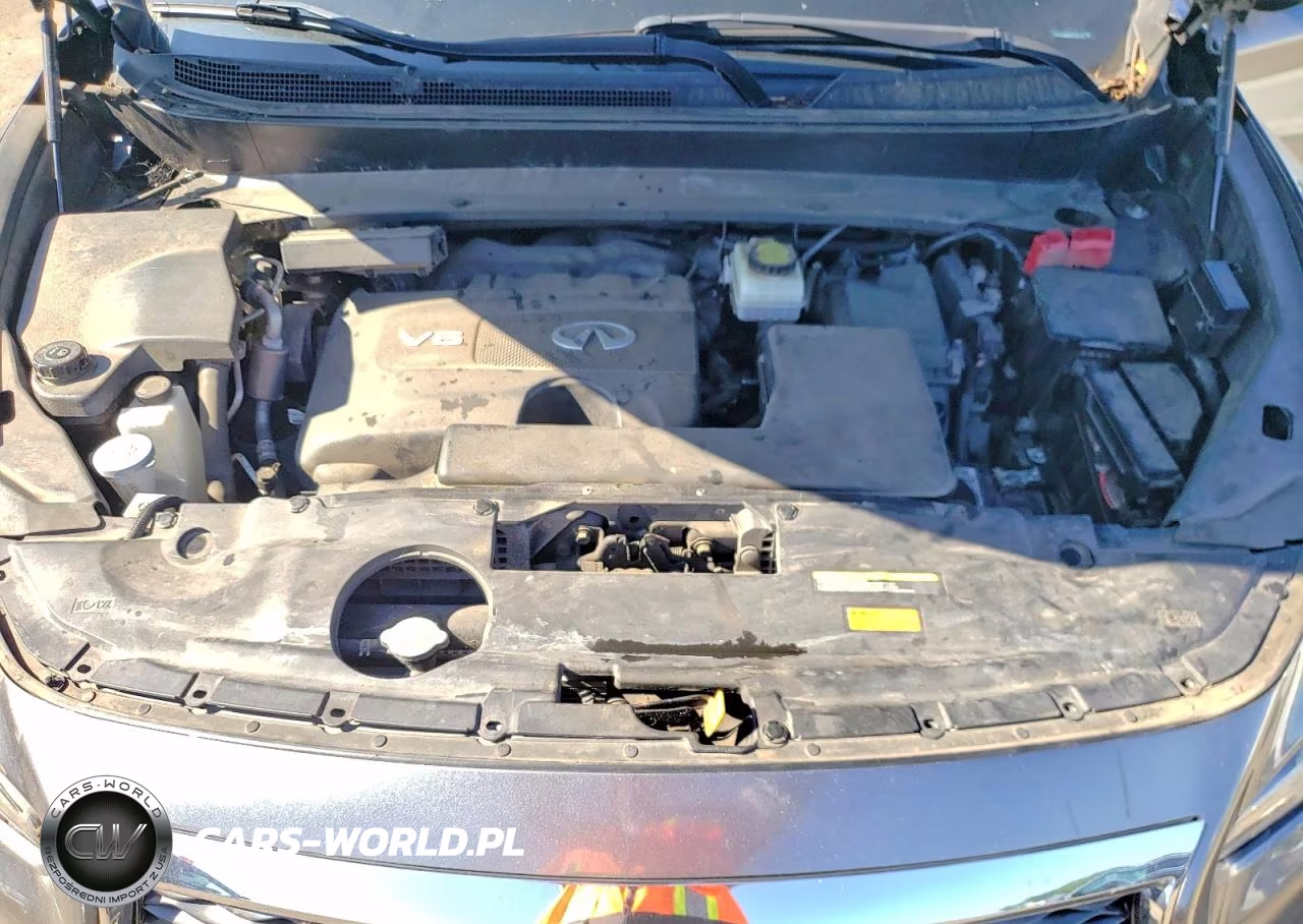 2019 Infiniti Qx60 Pure VIN:5N1DL0MM4KC554130 - 12