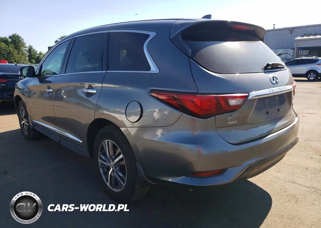 2019 Infiniti Qx60 Pure VIN:5N1DL0MM4KC554130 - 2