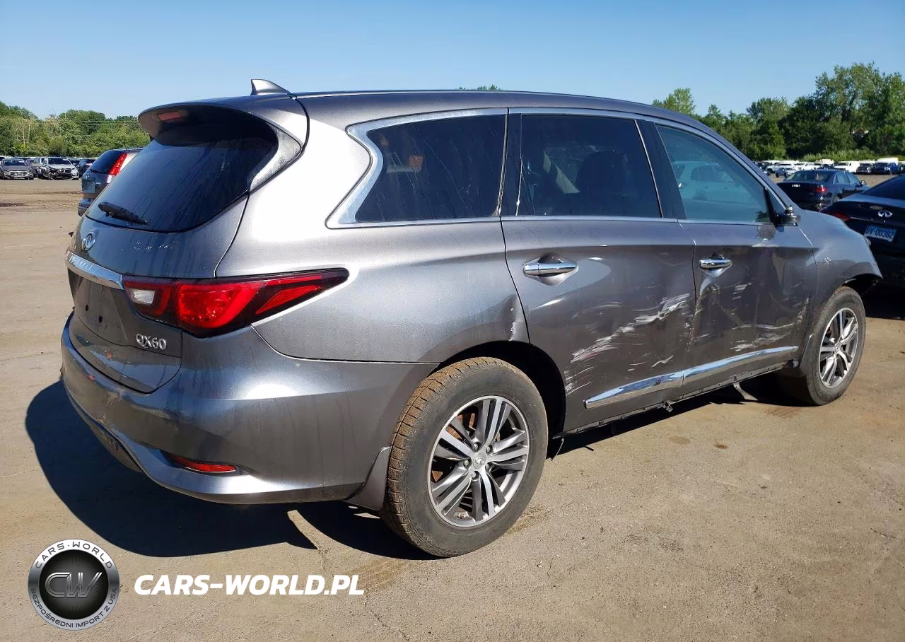 2019 Infiniti Qx60 Pure VIN:5N1DL0MM4KC554130 - 3