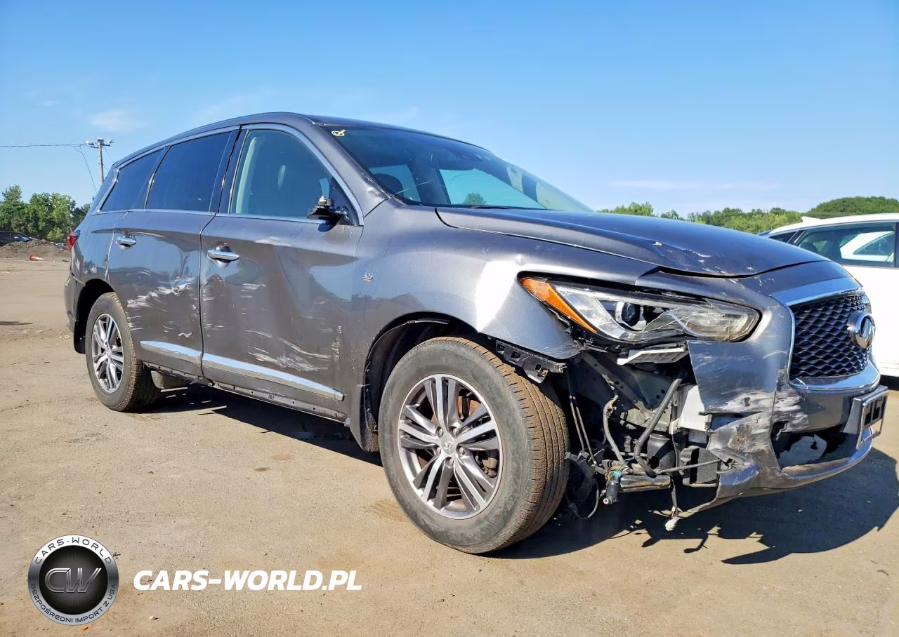 2019 Infiniti Qx60 Pure VIN:5N1DL0MM4KC554130 - 4