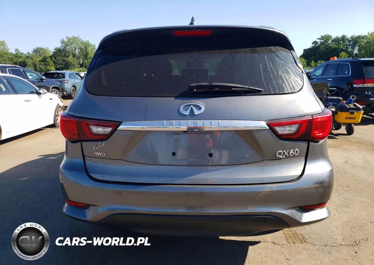 2019 Infiniti Qx60 Pure VIN:5N1DL0MM4KC554130 - 6