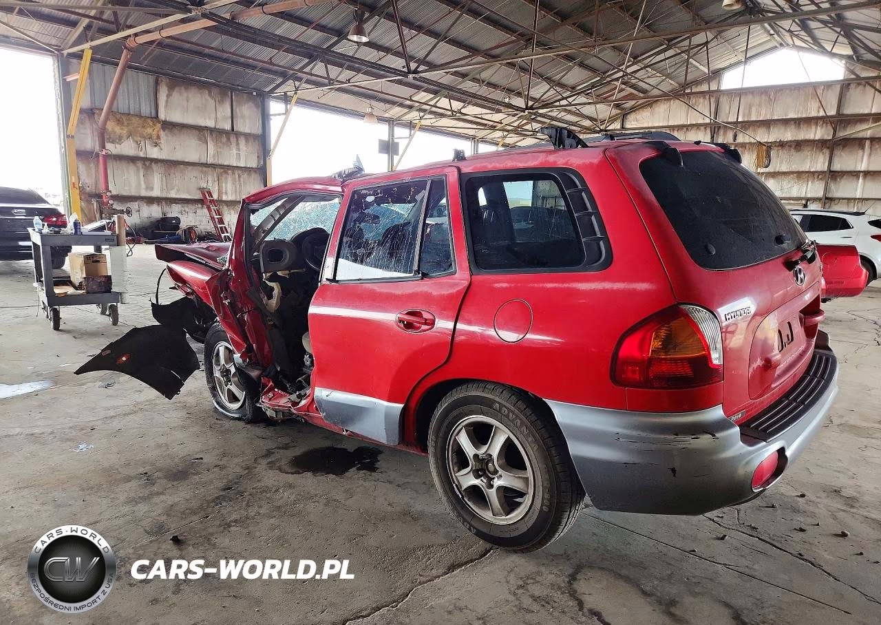 2004 Hyundai Santa Fe Gls VIN:KM8SC13D94U855164 - 2