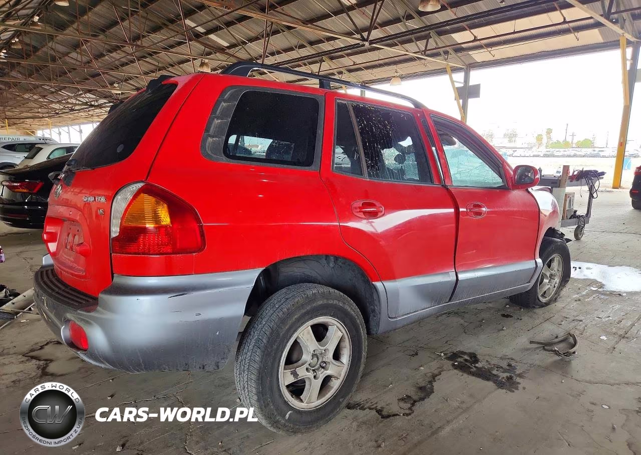 2004 Hyundai Santa Fe Gls VIN:KM8SC13D94U855164 - 3
