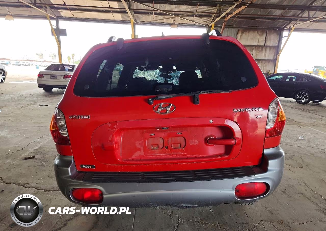 2004 Hyundai Santa Fe Gls VIN:KM8SC13D94U855164 - 6