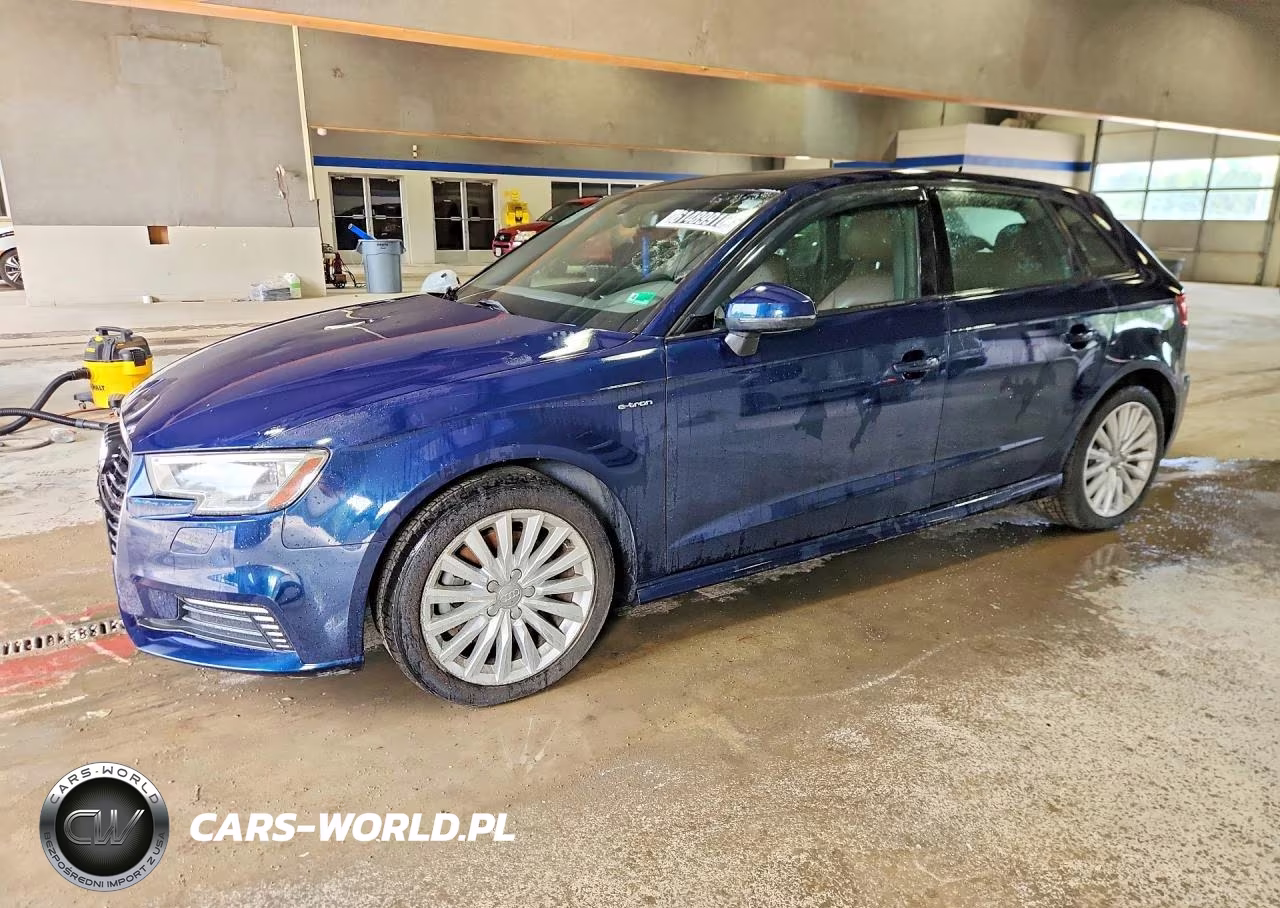 2017 Audi A3 E-Tron Premium VIN:WAUUPBFF9HA119530 - 1