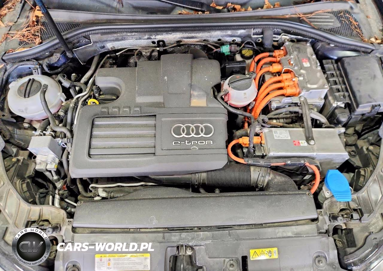 2017 Audi A3 E-Tron Premium VIN:WAUUPBFF9HA119530 - 11