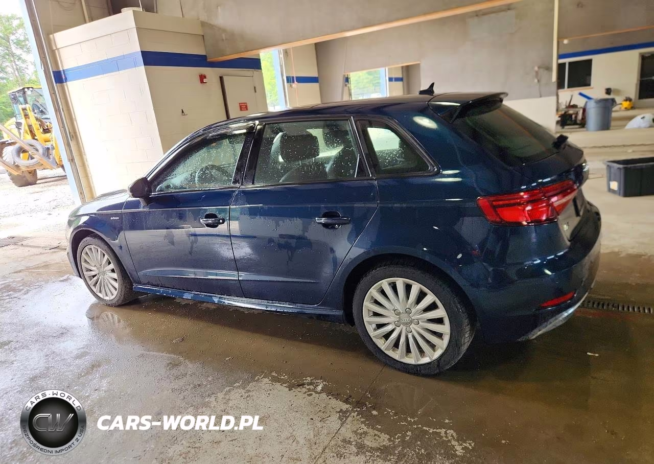 2017 Audi A3 E-Tron Premium VIN:WAUUPBFF9HA119530 - 2