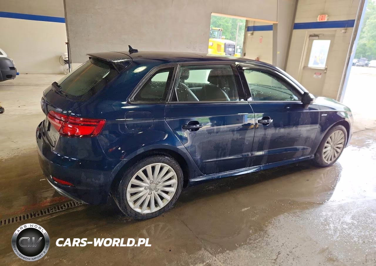 2017 Audi A3 E-Tron Premium VIN:WAUUPBFF9HA119530 - 3