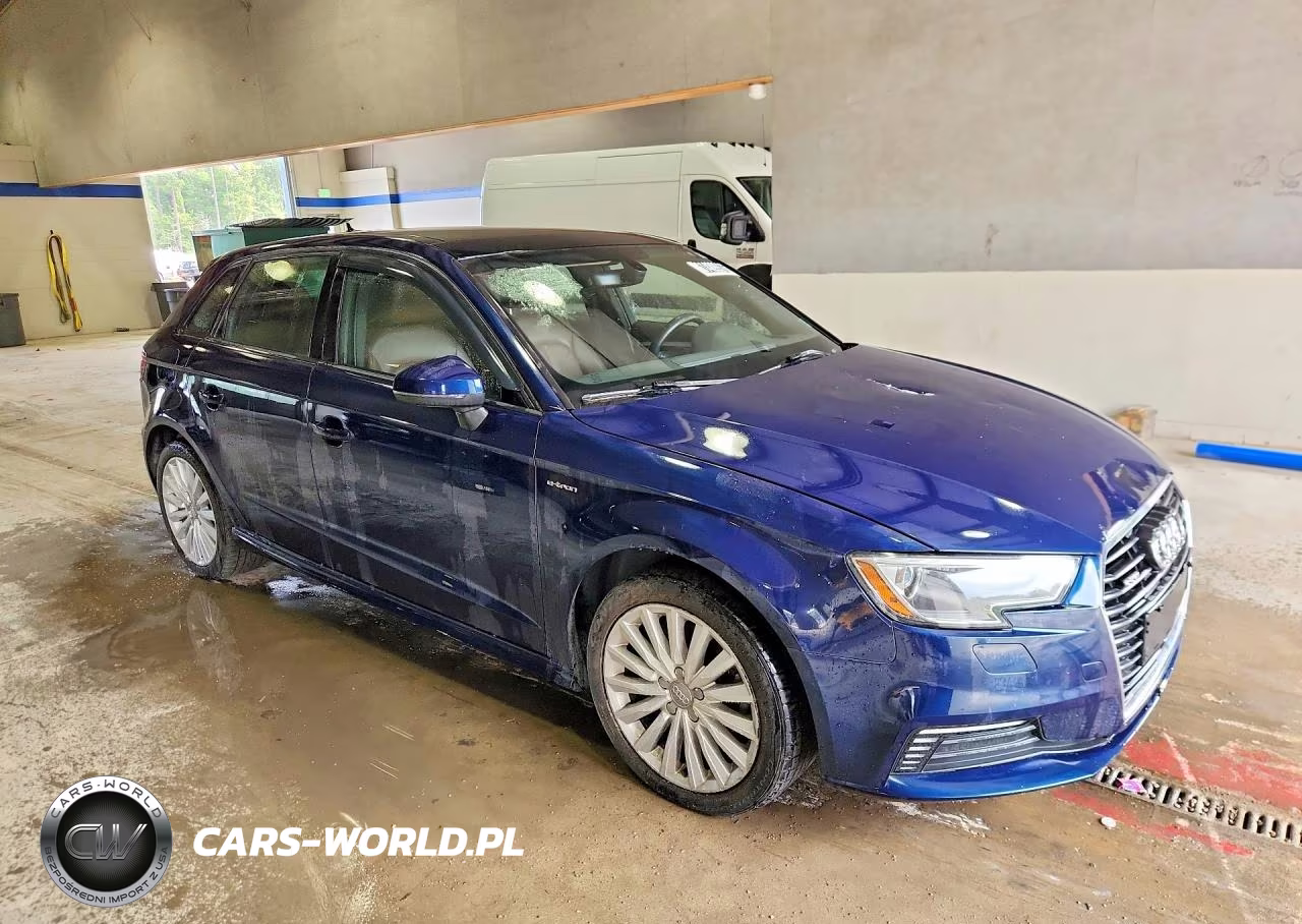 2017 Audi A3 E-Tron Premium VIN:WAUUPBFF9HA119530 - 4