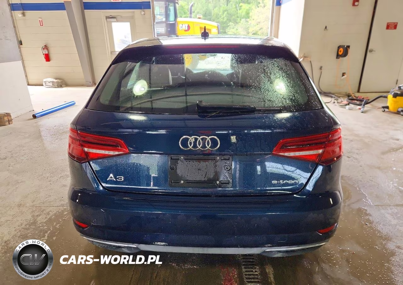 2017 Audi A3 E-Tron Premium VIN:WAUUPBFF9HA119530 - 6