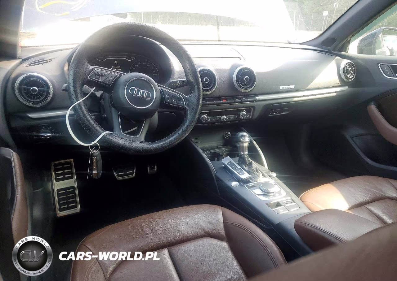 2017 Audi A3 E-Tron Premium VIN:WAUUPBFF9HA119530 - 8