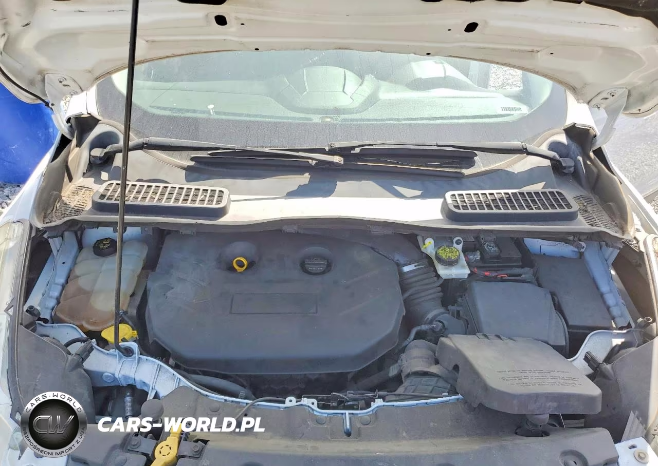2014 Ford Escape Se VIN:1FMCU0G93EUE07506 - 11