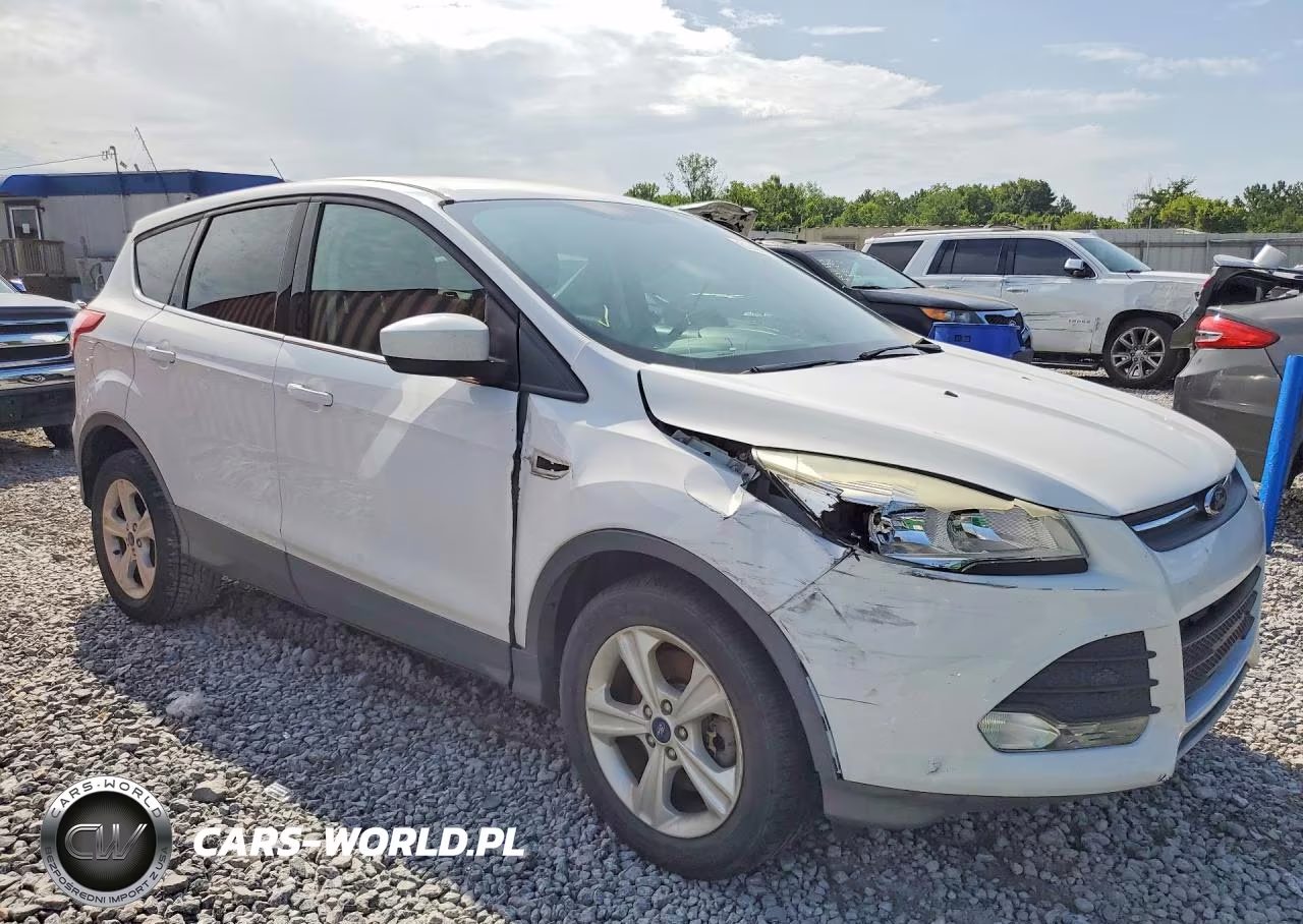 2014 Ford Escape Se VIN:1FMCU0G93EUE07506 - 4