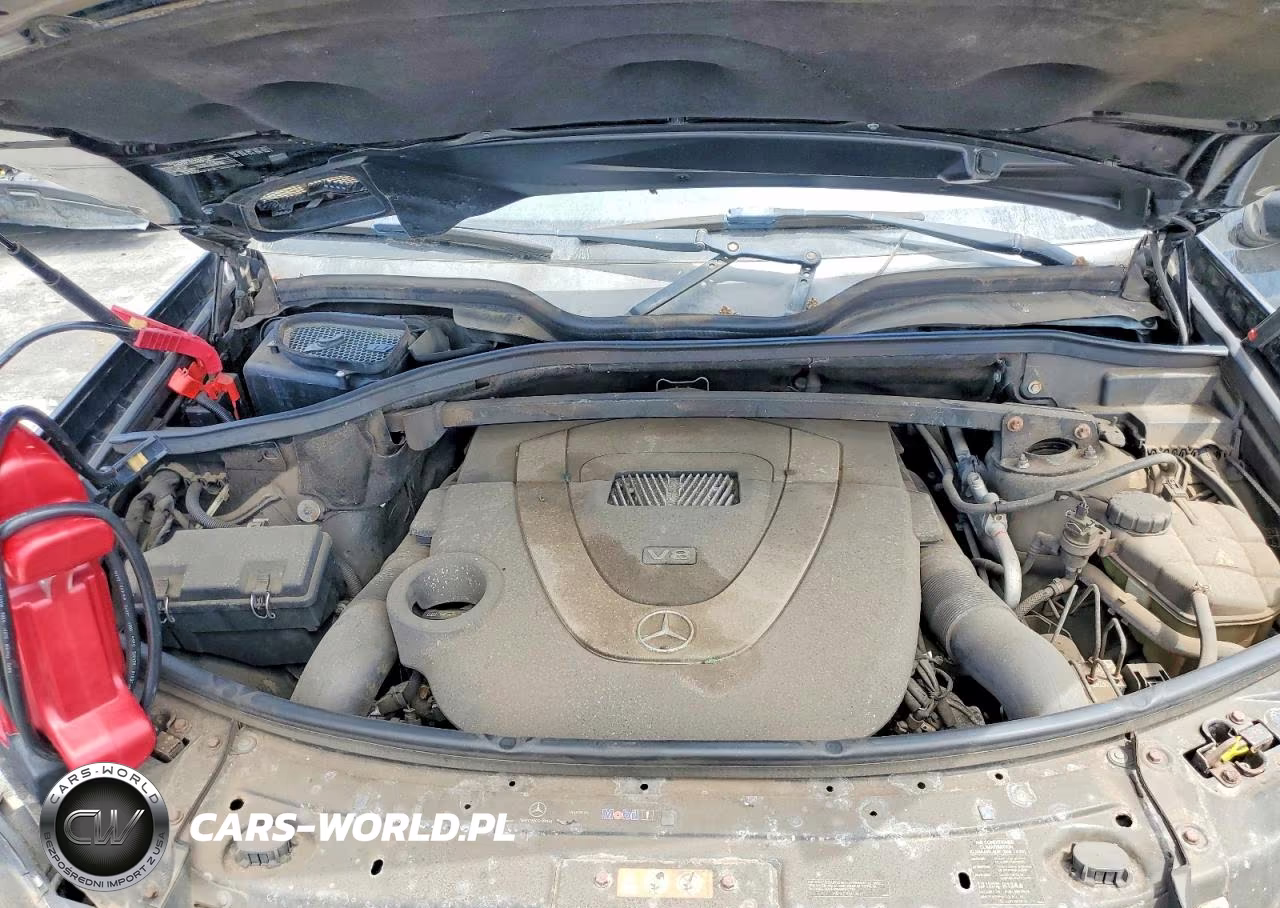 MERCEDES-BENZ GL 450 4MA VIN:4JGBF7BE1AA581881 - 12