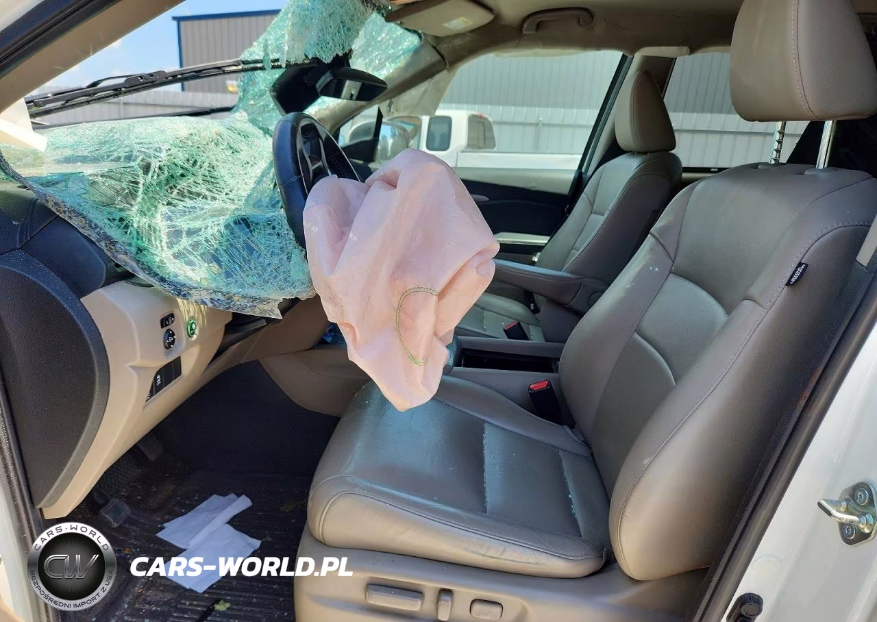 2019 Honda Pilot Exl VIN:5FNYF6H53KB061030 - 7