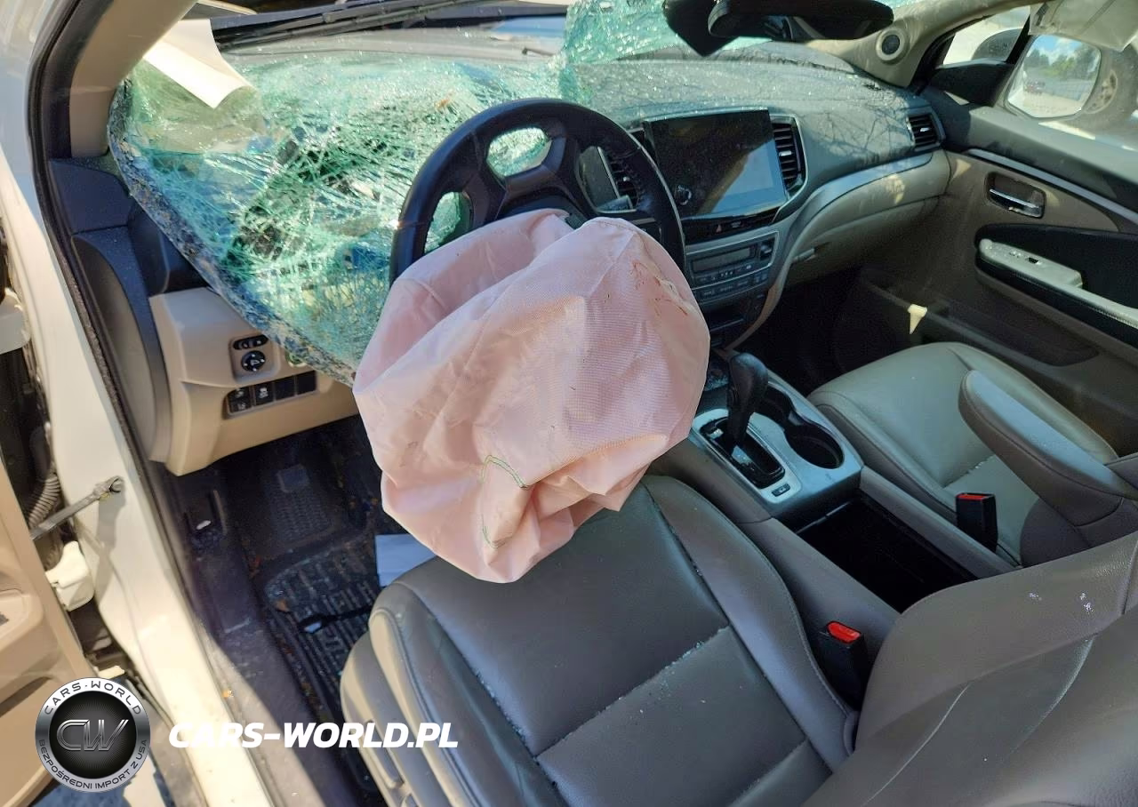 2019 Honda Pilot Exl VIN:5FNYF6H53KB061030 - 8